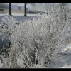 20060212_029